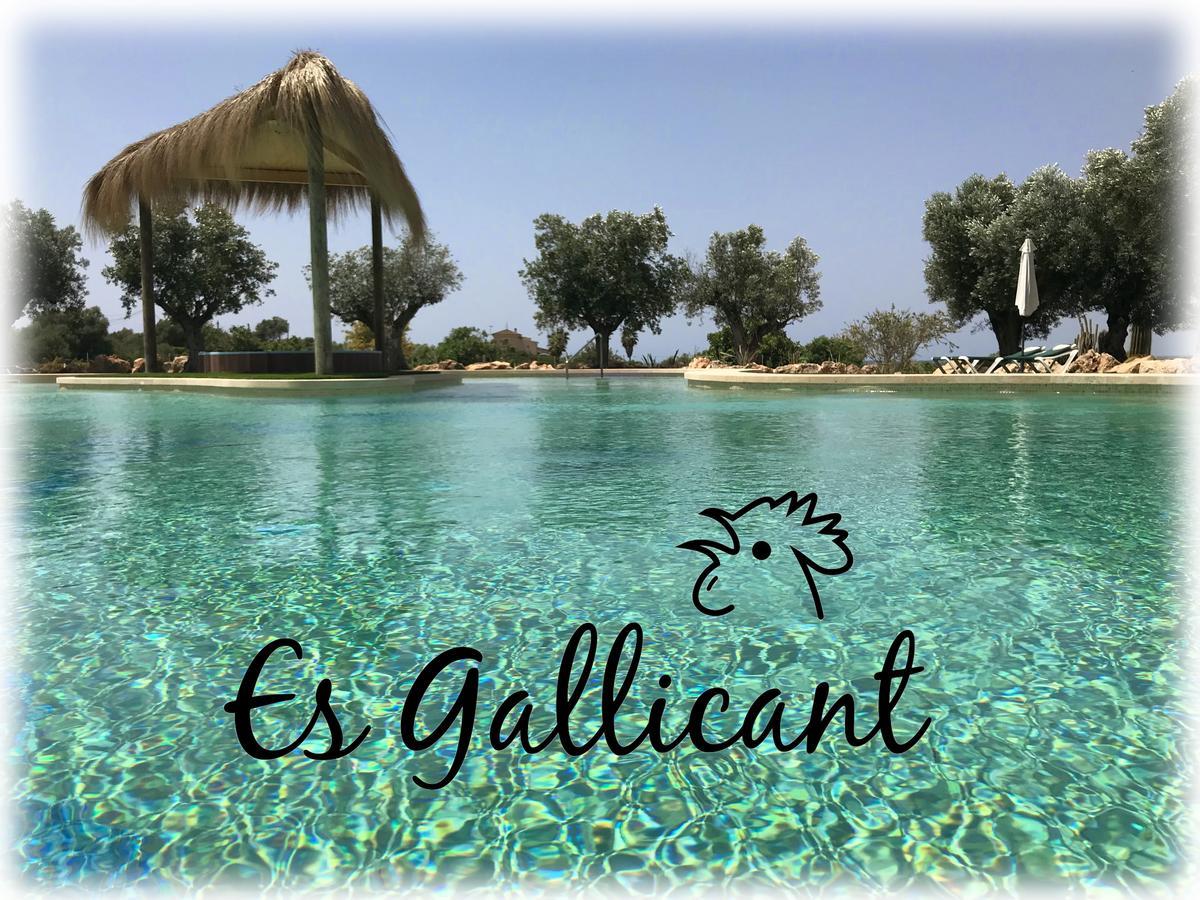 Agroturismo Es Gallicant カンポス エクステリア 写真